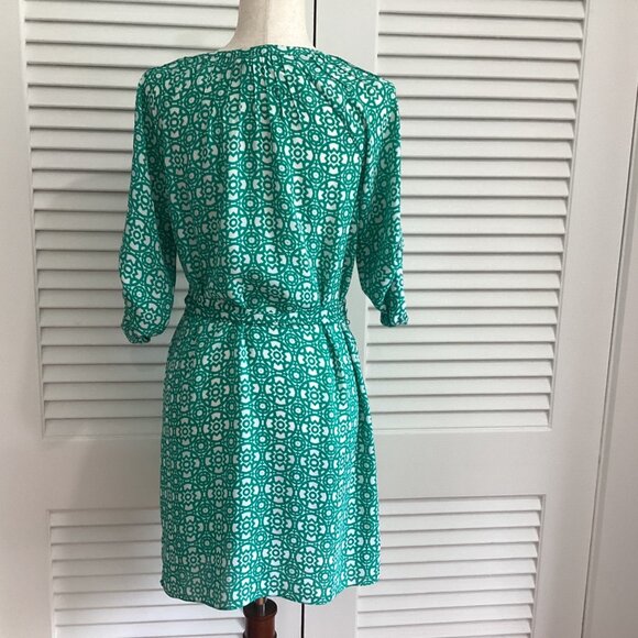 Banana Republic Green & White Print A-Line Dress Size 0 - Picture 2 of 13